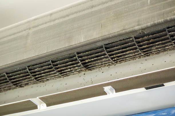 Best Air Duct Cleaning Cost  in Mountlake Terrace, WA