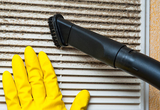 Best Professional Duct Cleaning Services  in Mountlake Terrace, WA